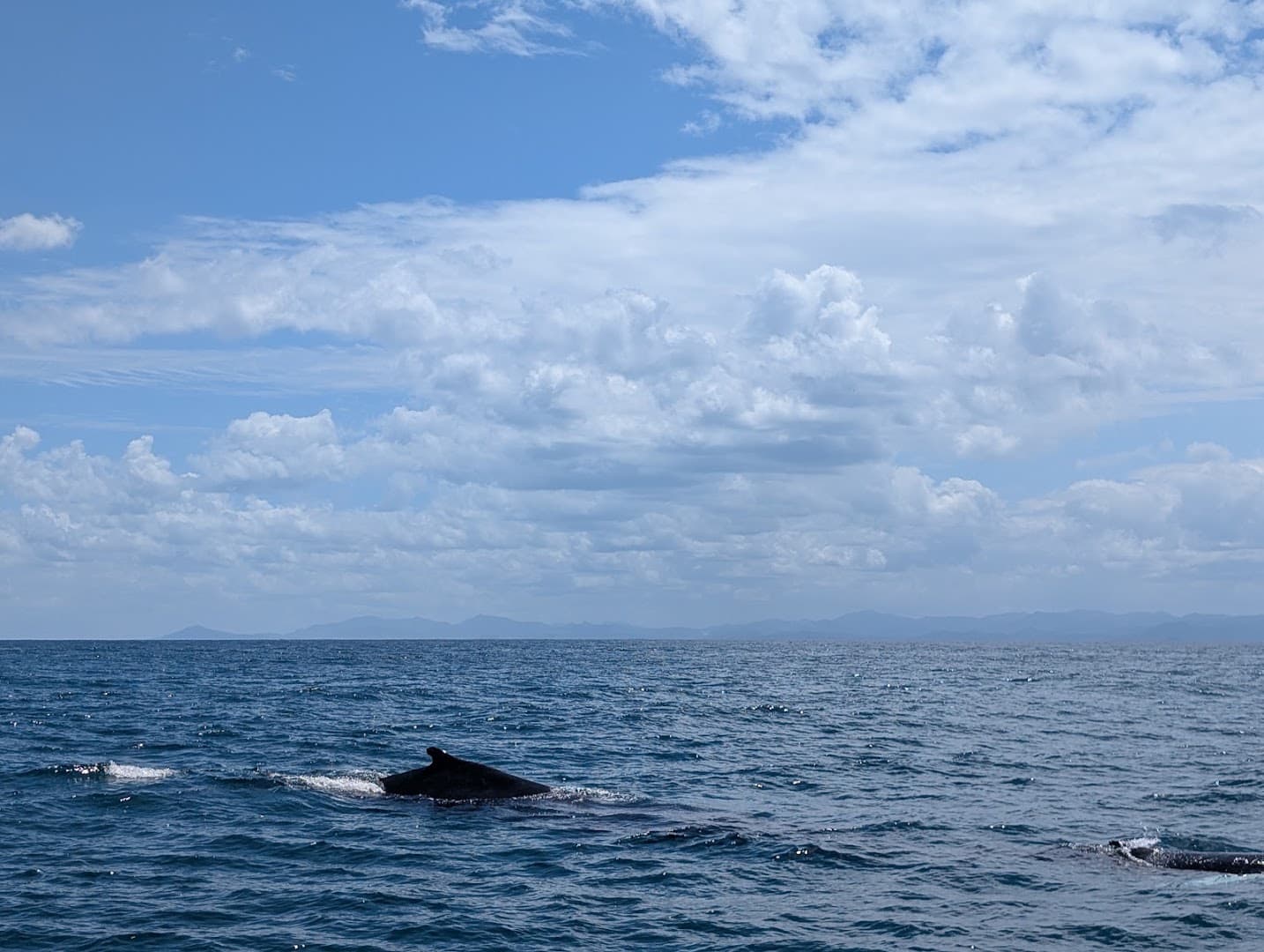 Boat Trips to Playa Jackson & Coastal Beaches gallery image