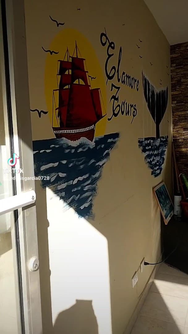Day Tours from Las Galeras gallery image
