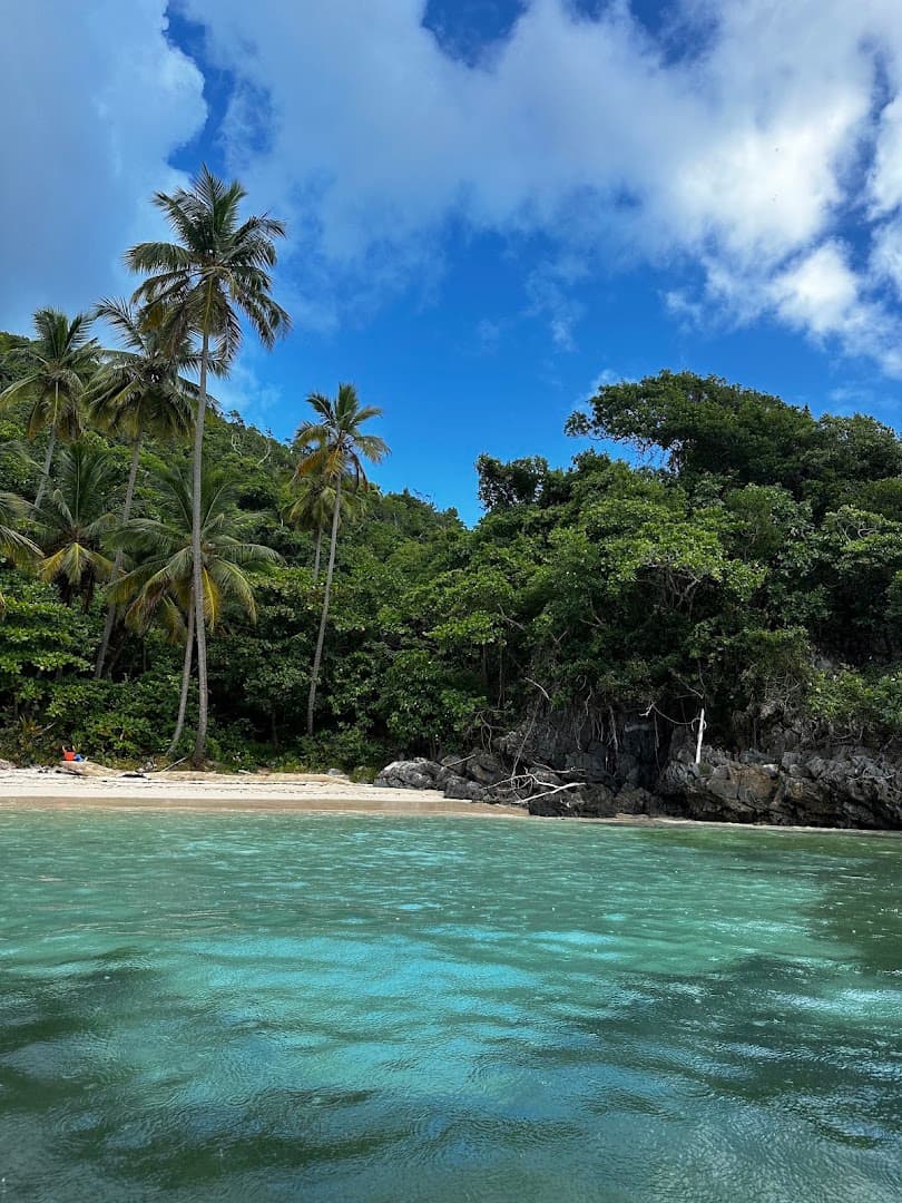 Samaná Day Excursions — Los Haitises & El Limón gallery image