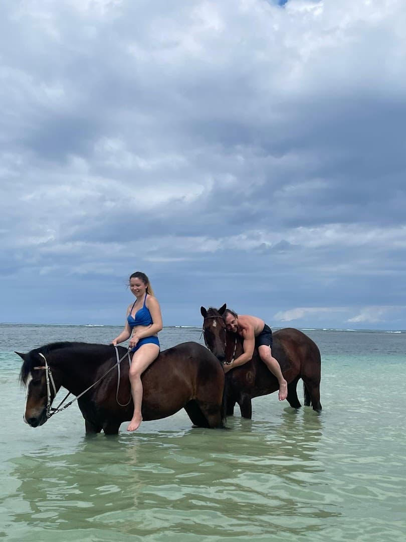 Horseback Riding — Beach & Countryside gallery image