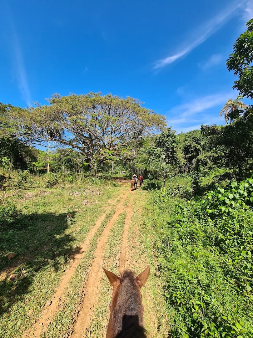 Horseback Riding — Beach & Countryside gallery image