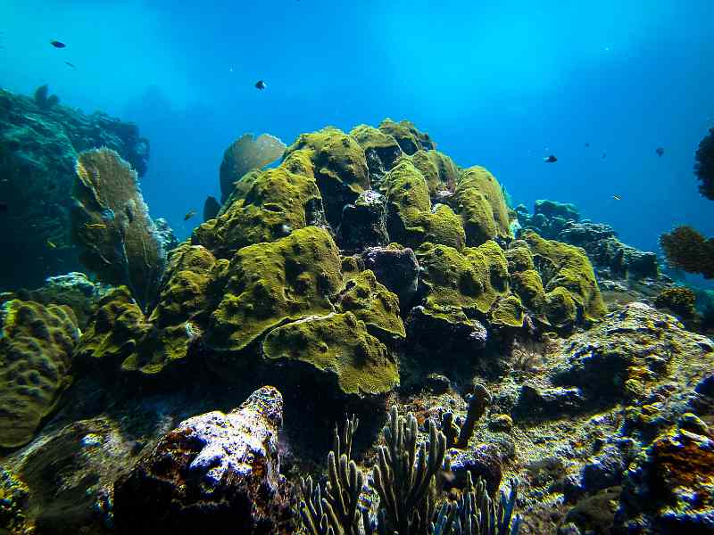 Scuba Diving — Las Galeras & Cabo Cabrón gallery image