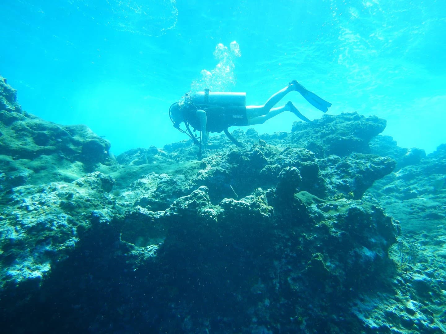 Scuba Diving — Las Galeras & Cabo Cabrón gallery image