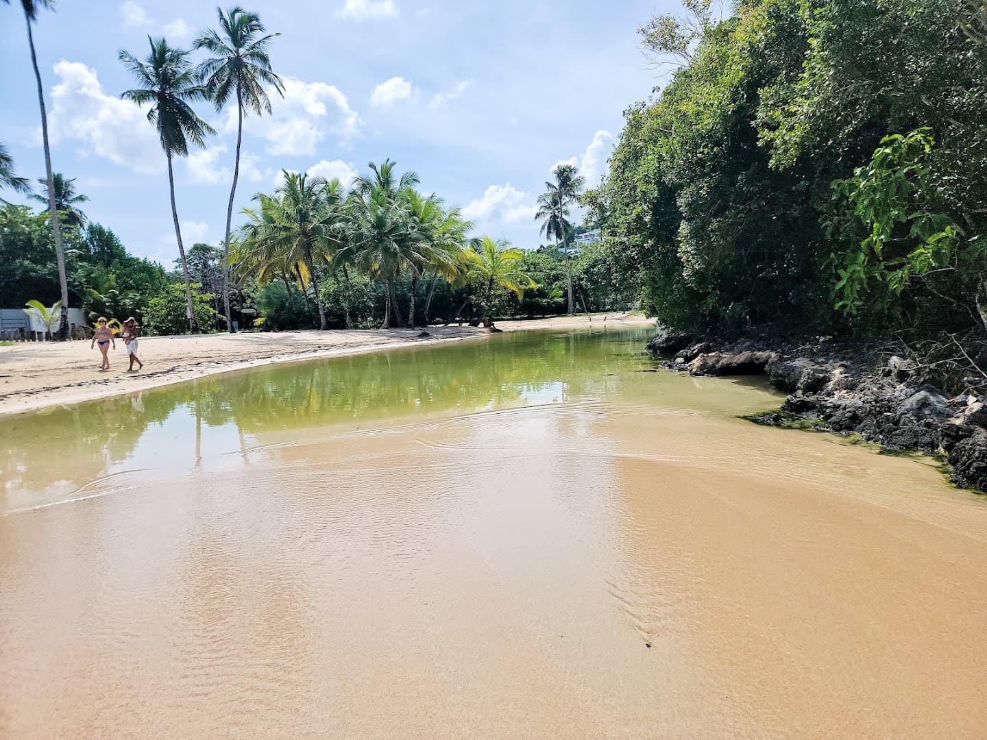 Sailing & Catamaran Trips — Las Terrenas
