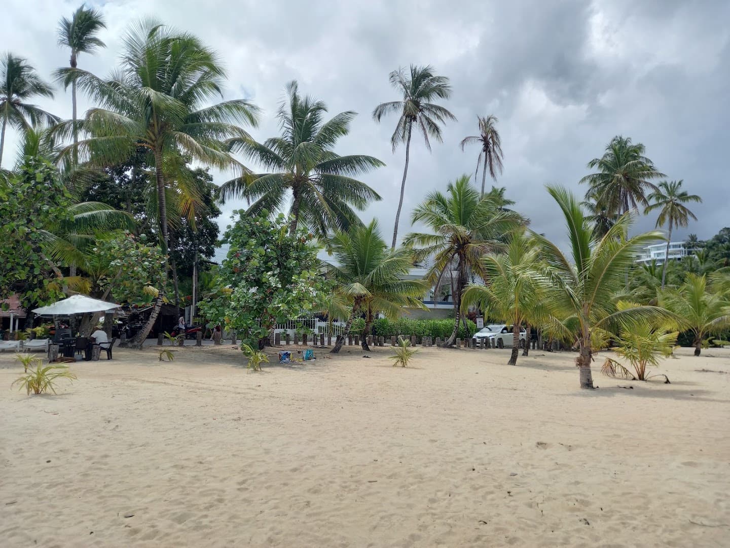 Sailing & Catamaran Trips — Las Terrenas gallery image