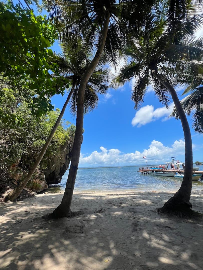 Leo Trips - Las Galeras cover