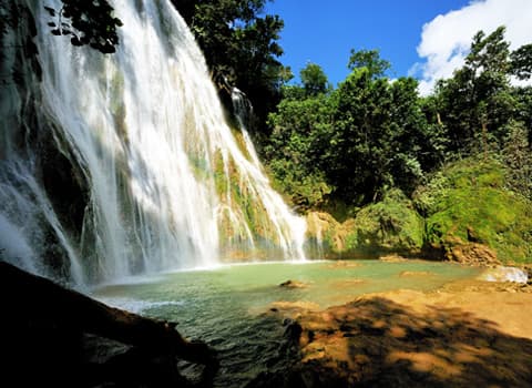 Private Guided Tours in Samaná gallery image