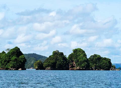Private Guided Tours in Samaná gallery image