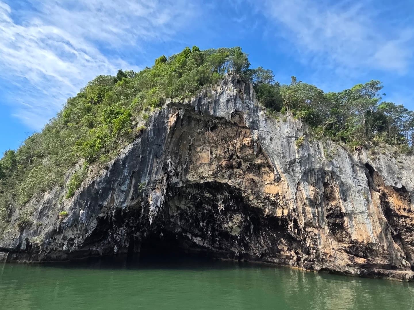 Whale Watching & Cayo Levantado by Boat gallery image