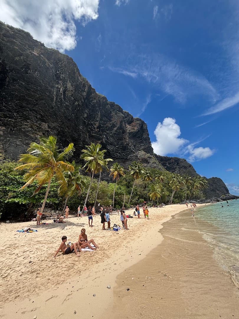 Boat Trips & Excursions — Las Galeras gallery image