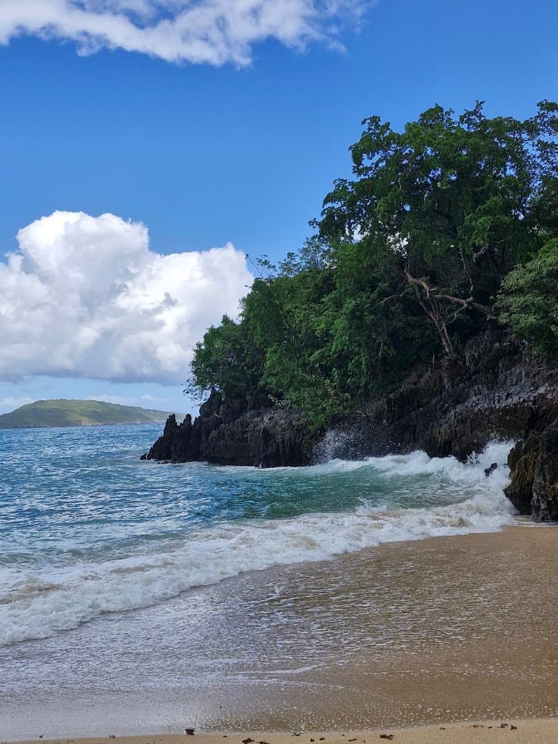 Boat Trips & Excursions — Las Galeras gallery image