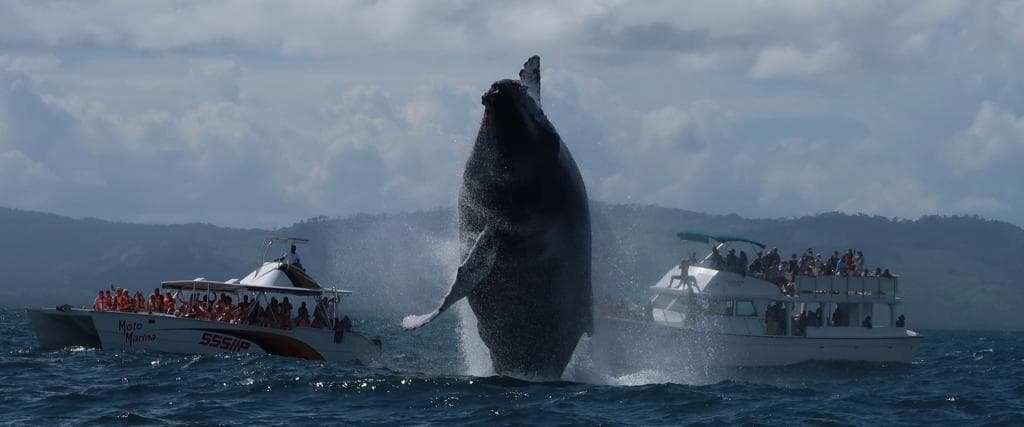 Guided Tours from Las Galeras gallery image