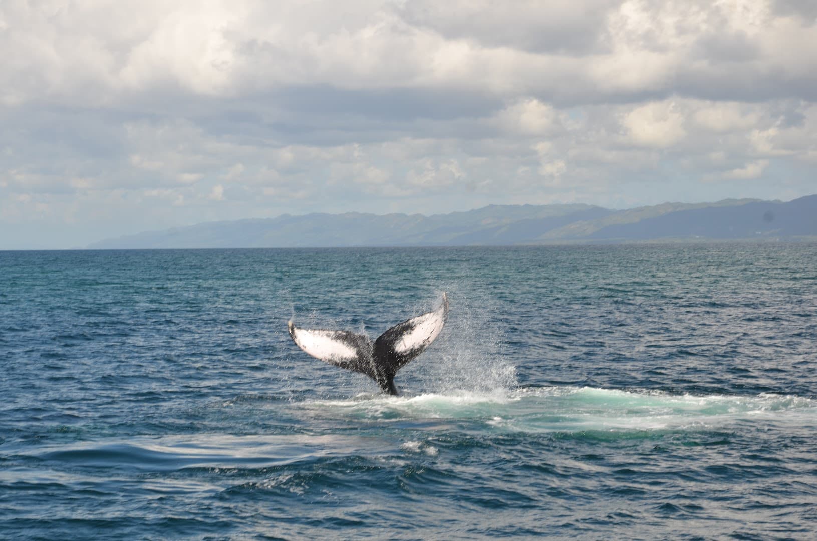 Peninsula Day Tours from Las Terrenas gallery image