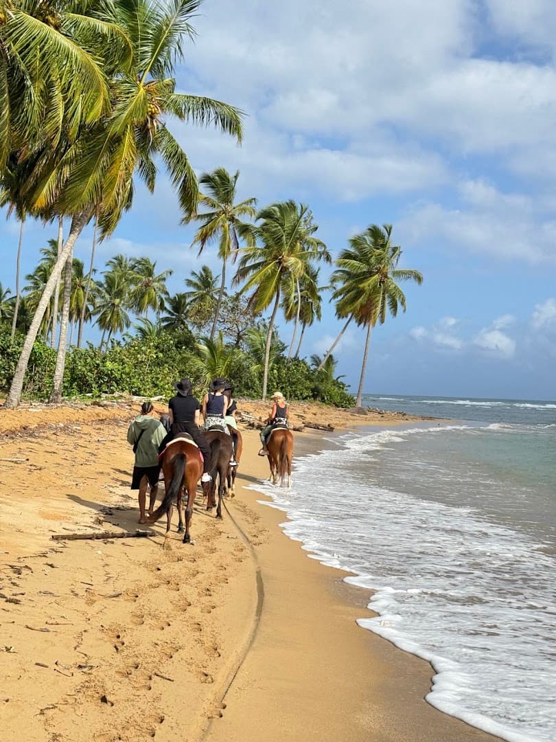 Horseback Ride to El Limón Waterfall