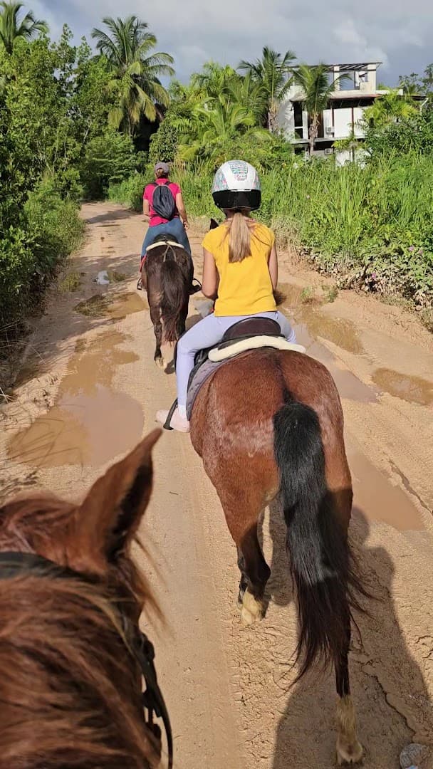 Horseback Ride to El Limón Waterfall gallery image