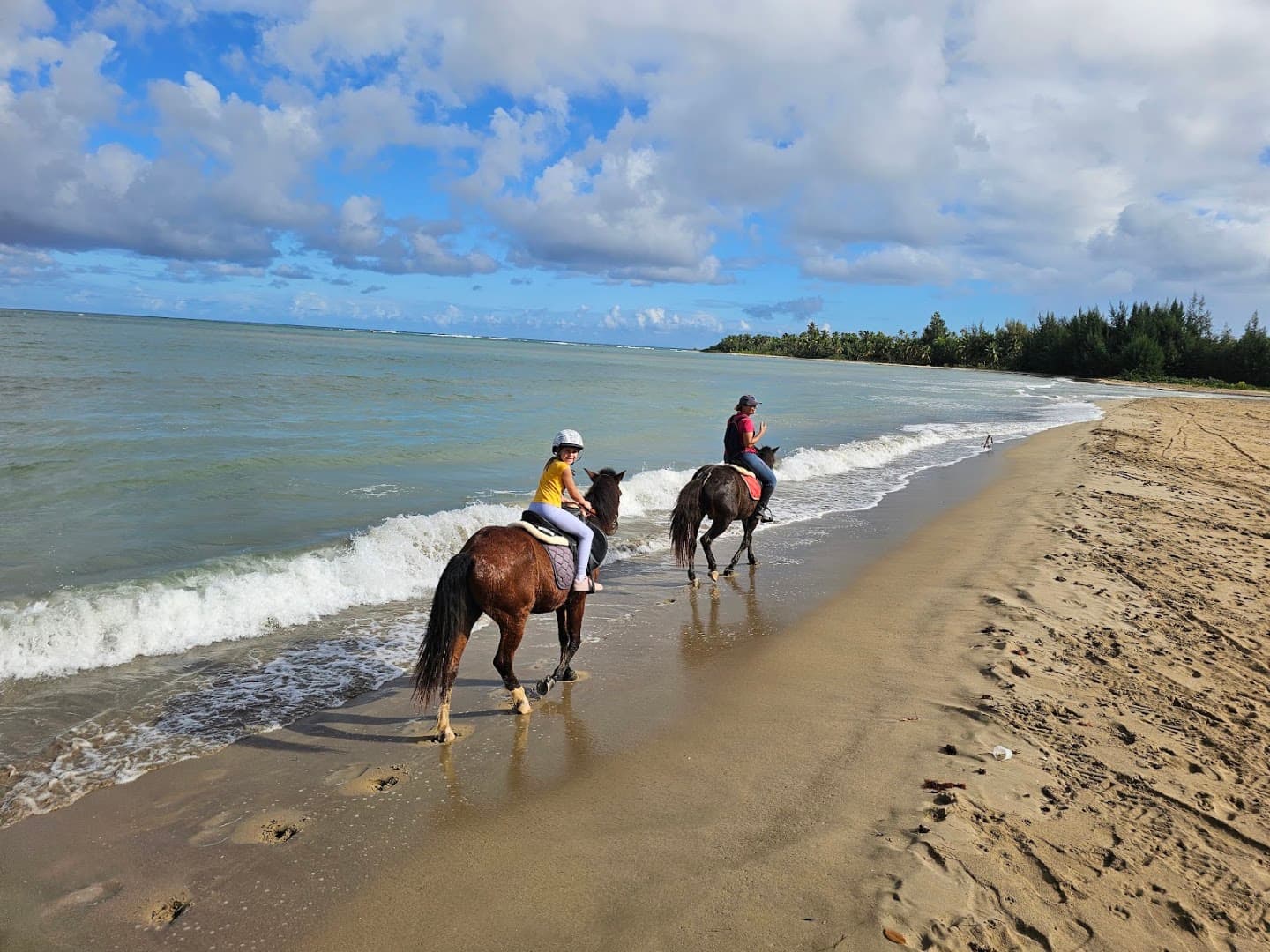 Horseback Ride to El Limón Waterfall gallery image