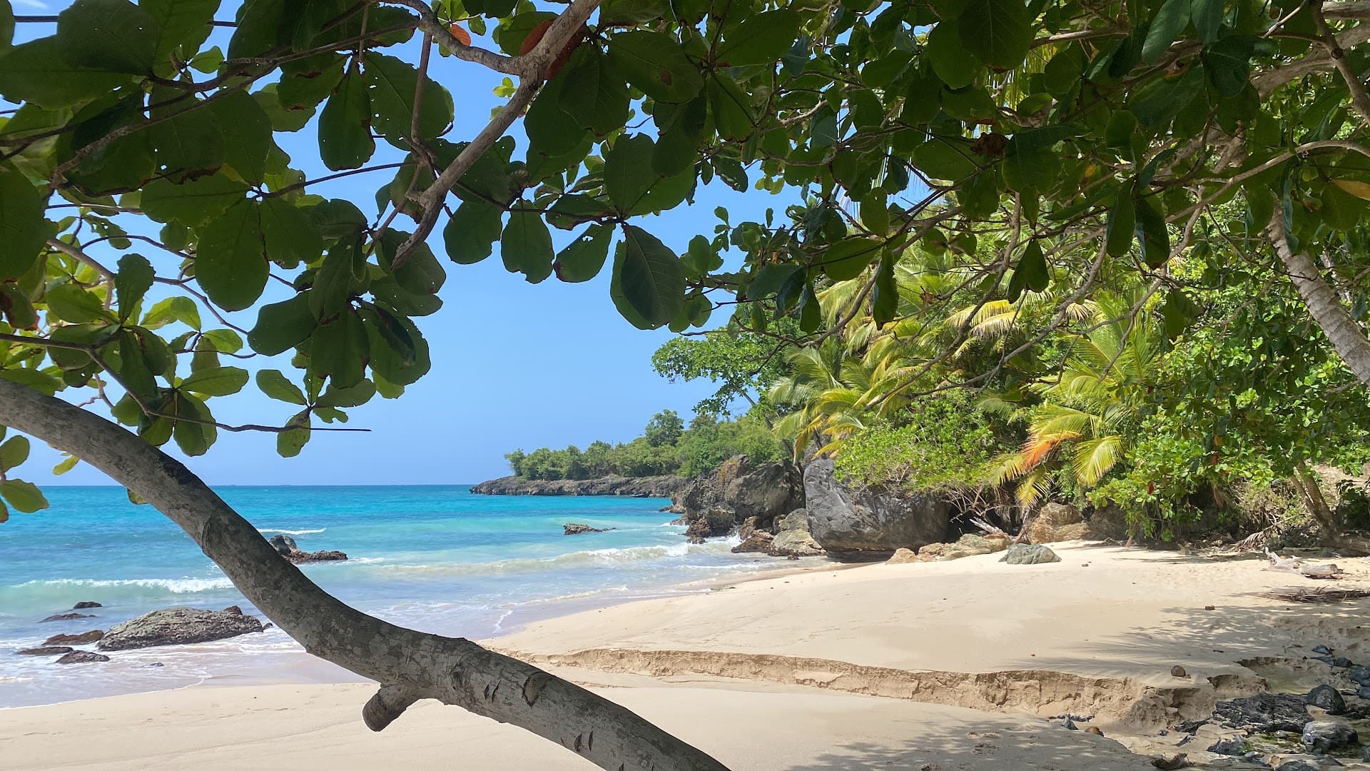 Guided Coastal Hikes — Las Galeras Trails gallery image
