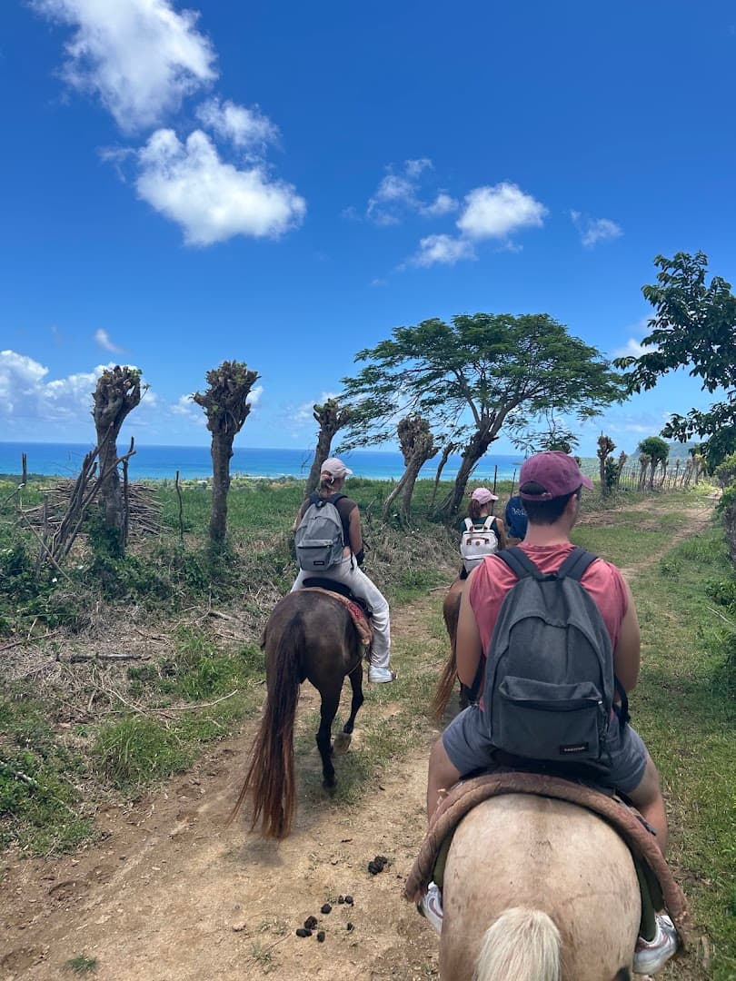 Horseback Riding to Playa Rincón gallery image
