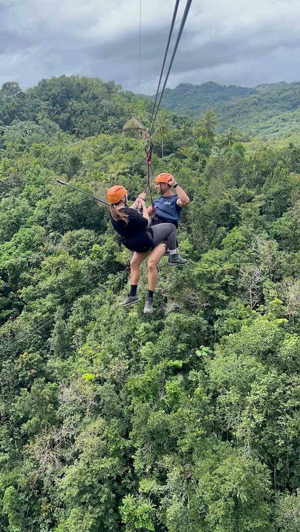 Treetop Zipline over the El Valle Rainforest