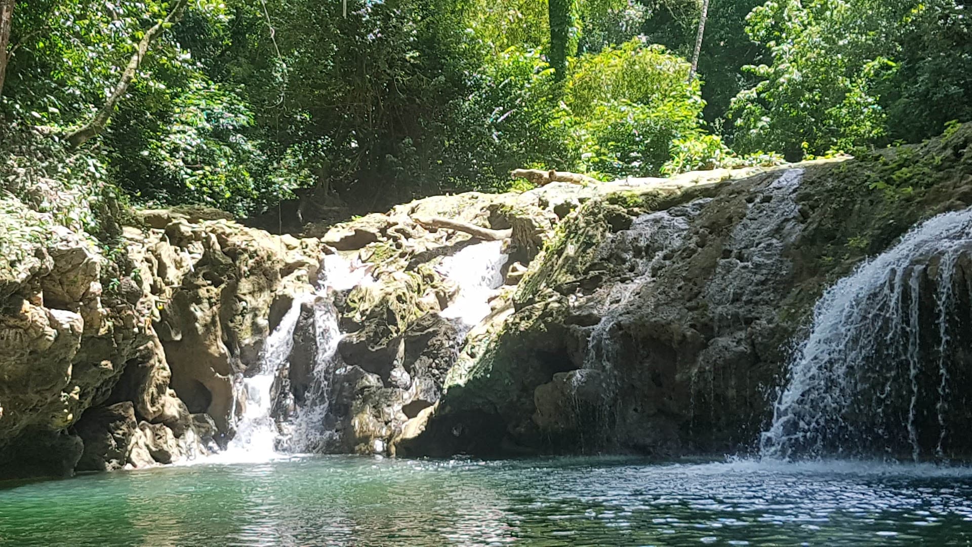 Treetop Zipline over the El Valle Rainforest gallery image