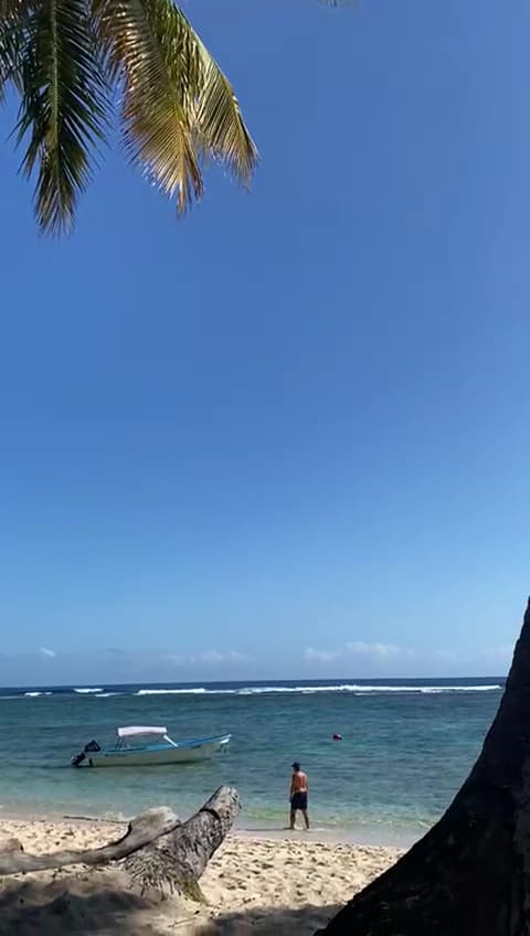 Boat Trips & Beach Excursions — Las Galeras gallery image
