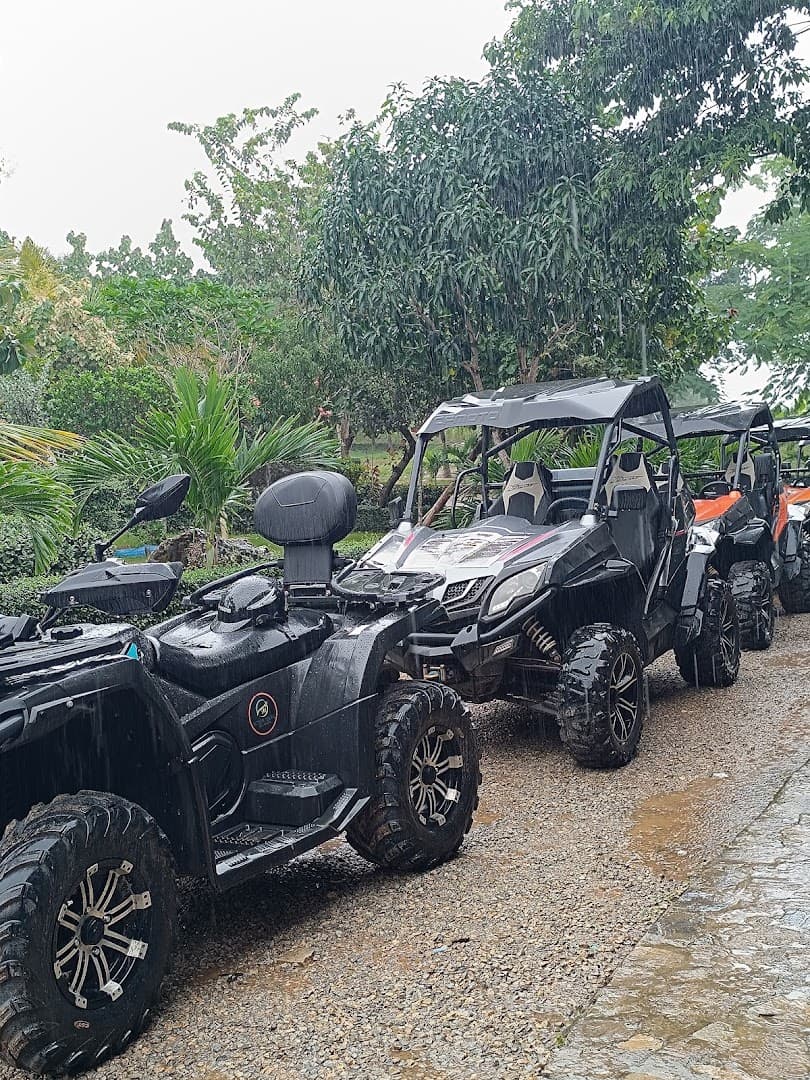 Guided Excursions around the Samaná Peninsula gallery image