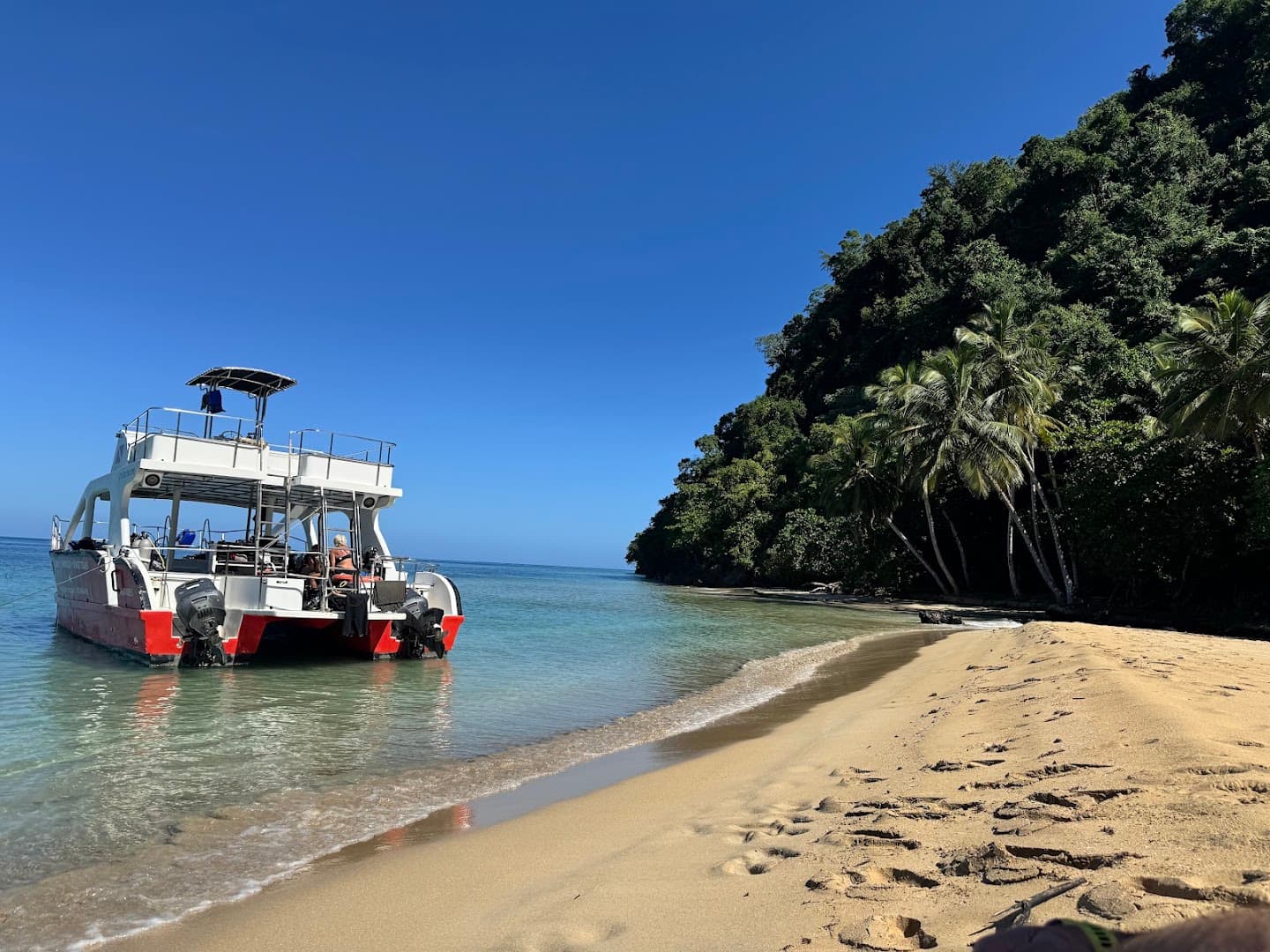Scuba Diving & PADI Courses — Las Terrenas gallery image
