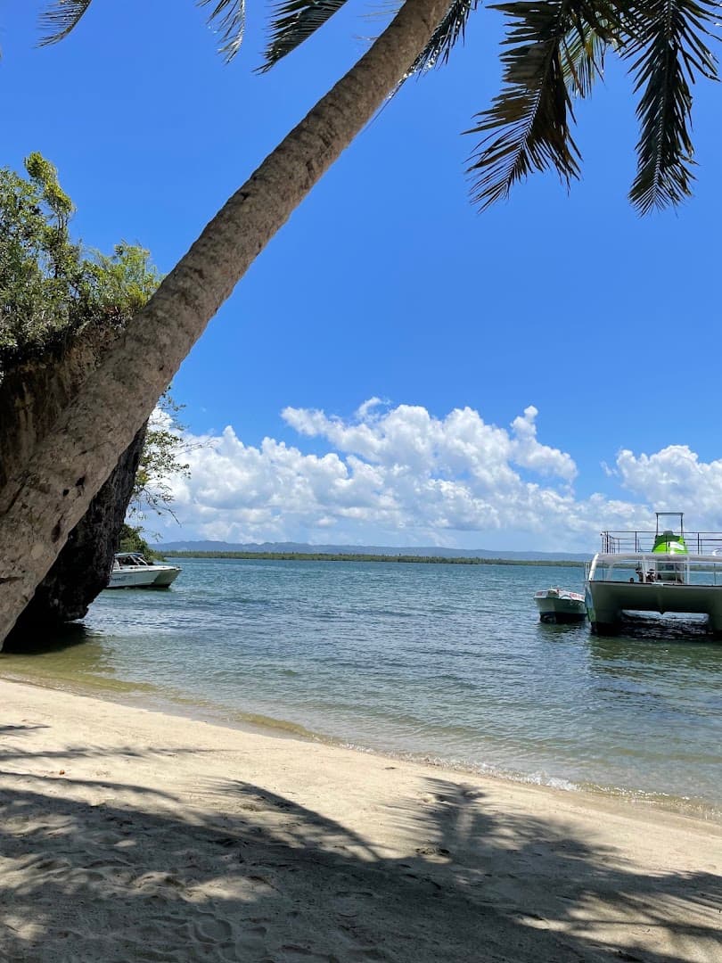 Playa Rincón Beach Day gallery image