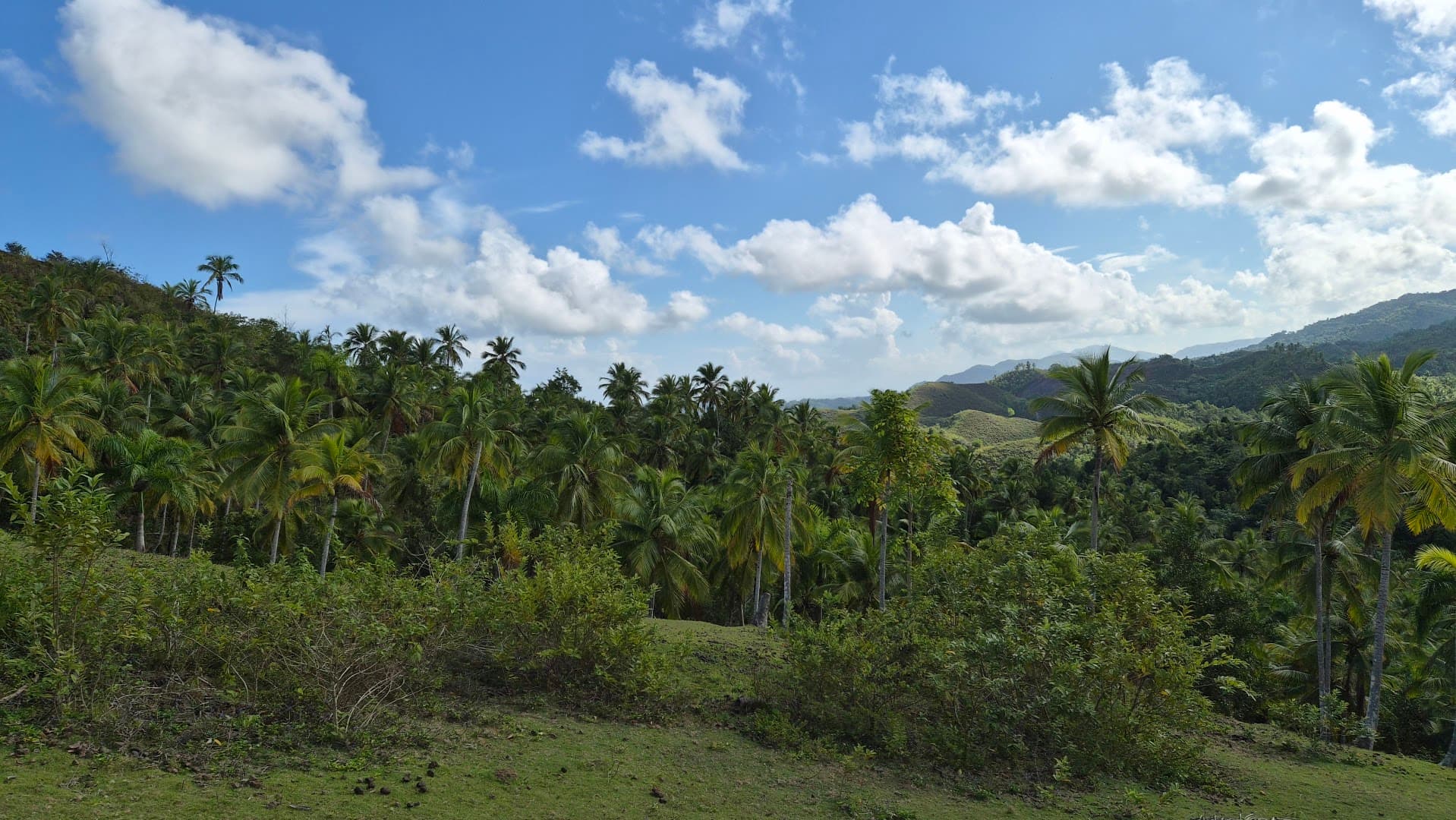 El Limón Waterfall Hiking Adventure gallery image