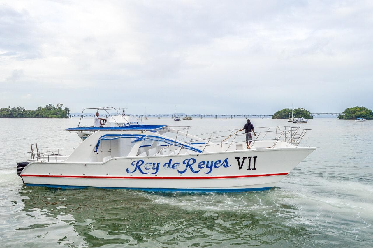 Whale Watching Excursion from Samaná gallery image