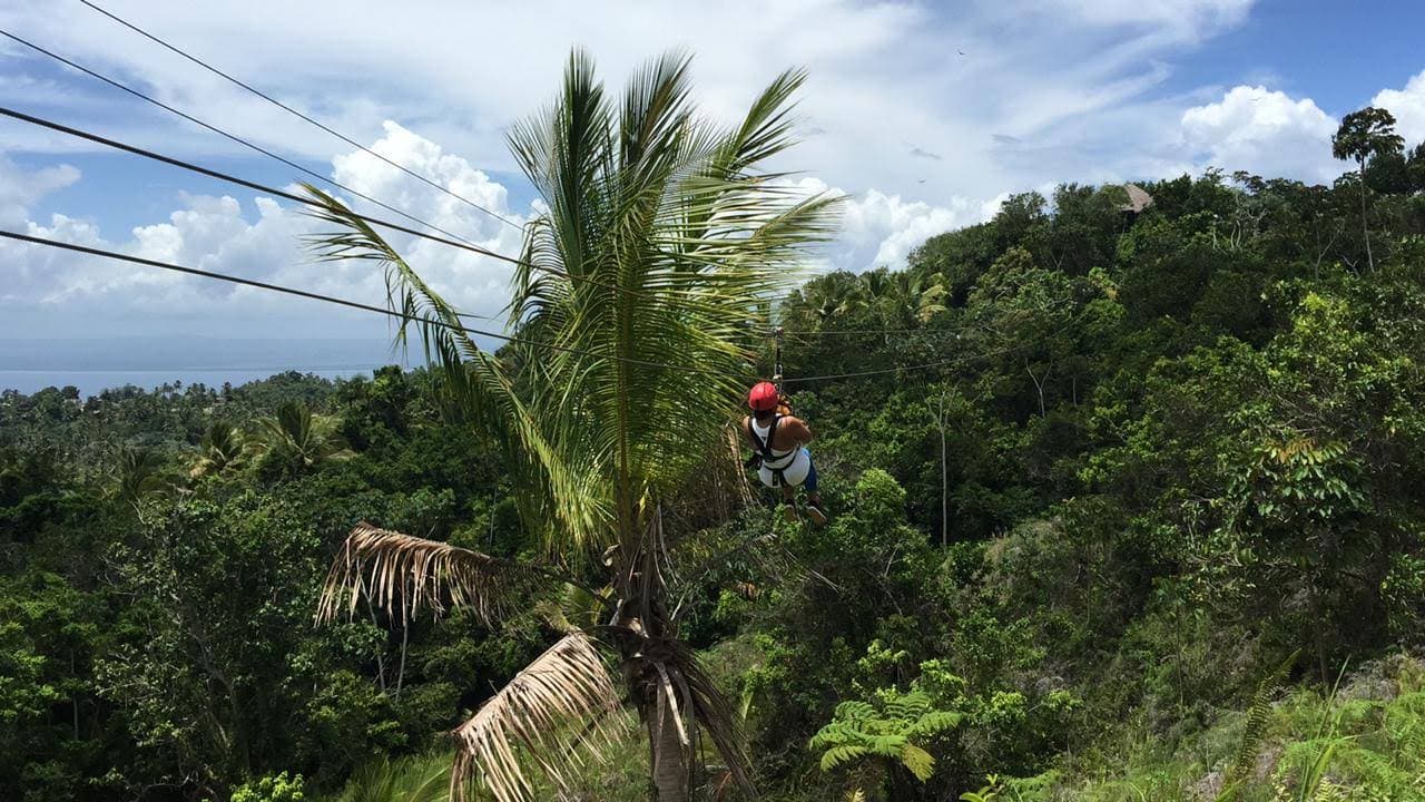Zipline Canopy Tour over Samaná Bay gallery image