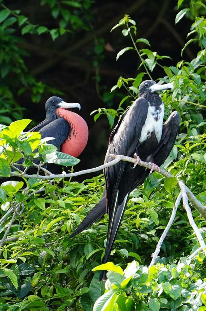 Los Haitises Eco-Adventure gallery image