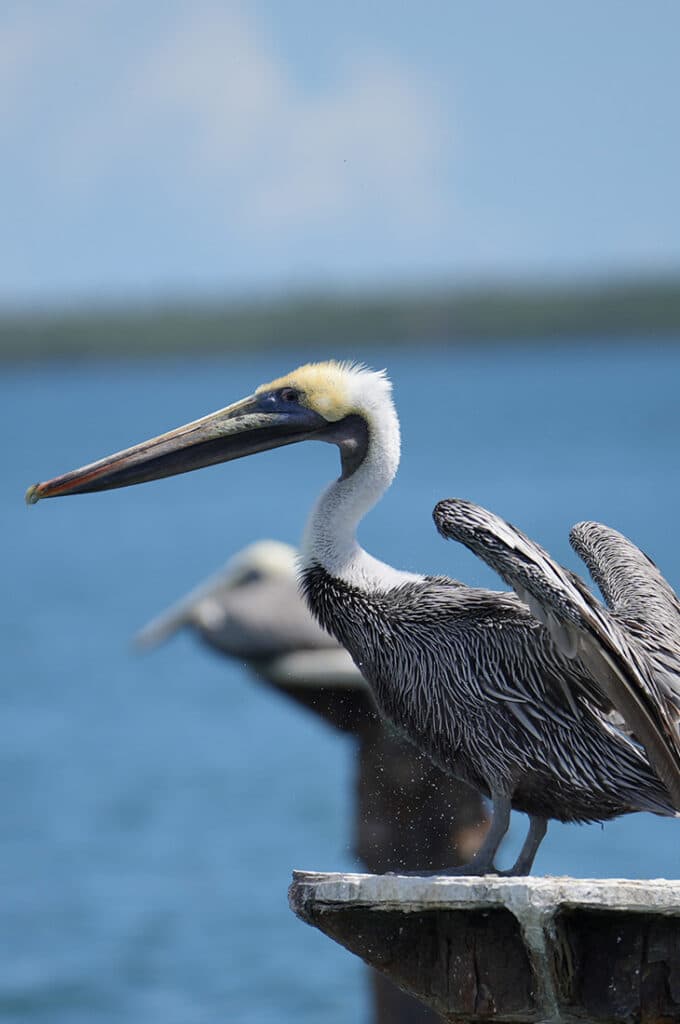 Los Haitises Eco-Adventure