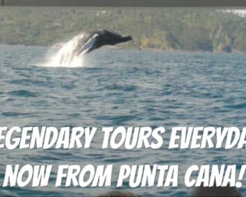 Whale Watching Expedition