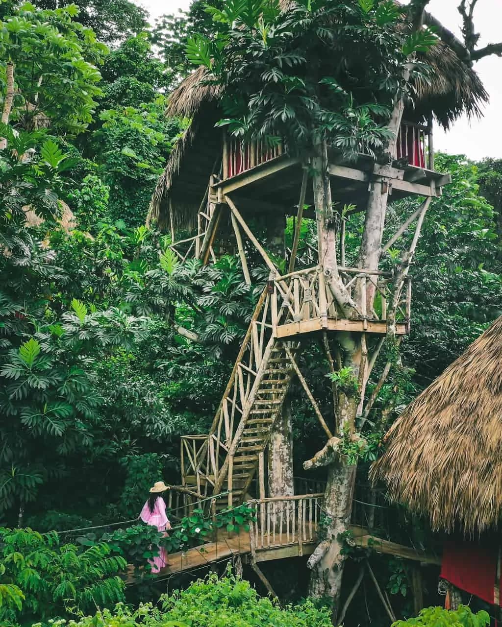 Samaná Adventures cover